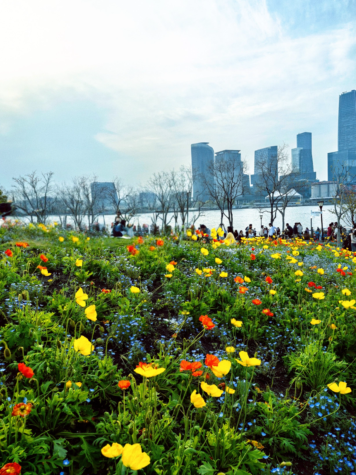 image_1775395620723.webp
